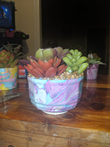 Succulent Mugs